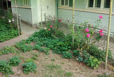 Casă cu 3 camere în Sâncraiu de Mureș