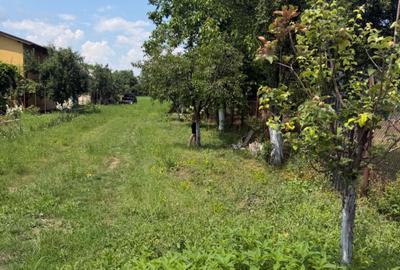 Teren de 3899 mp, în Filipeștii de Pădure - 5