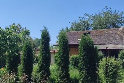 Casă individuală cu 2 camere cu Teren 2000 Mp în Davideni - 3