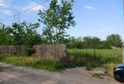 Teren de 3580 mp, în Călțuna - 4