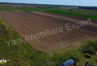 Teren de 526 mp, în Ciocănești - 1