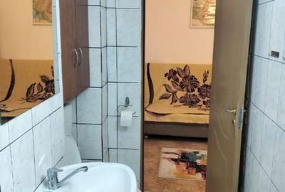 Garsonieră decomandată, mobilată în Nerva Traian - 9