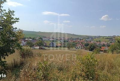 Spațiu comercial, în Șura Mare - 4