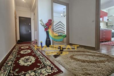 Apartament cu 2 camere decomandat, mobilat în Roșu - 13
