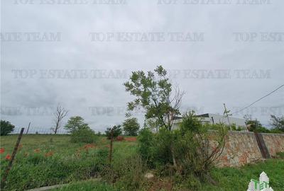 Casă individuală cu 3 camere cu Teren 5250 Mp în Casicea - 19