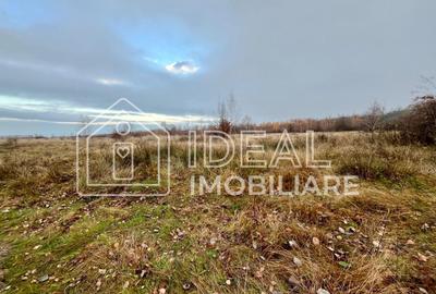 Teren agricol extravilan de 6500 mp, în Cârțișoara - 6