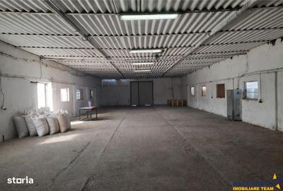 Spațiu comercial, de 400 mp, în Colonia Bod - 7