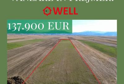 Teren agricol extravilan de 10000 mp, în Prejmer