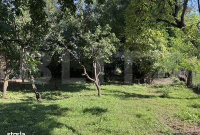 Spațiu comercial, în Răgman
