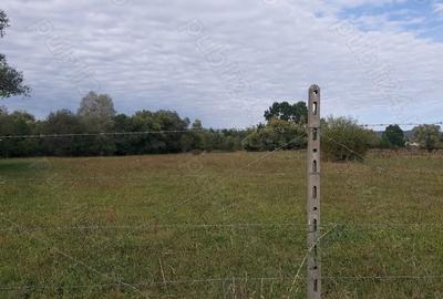 Teren de 4712 mp, în Dumbrăveni - 2