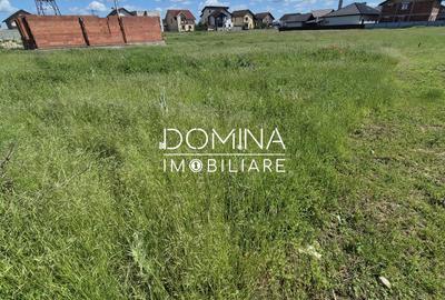 Teren Construcții intravilan de 550 mp, în Sud - 7