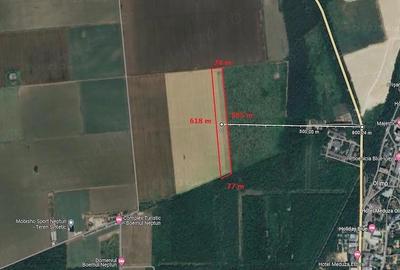 Teren de 4500 mp, în 23 August