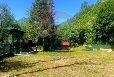 Casă cu Teren 2362 Mp în Tulnici - 3