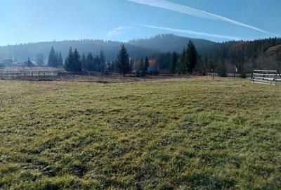 Teren de 6529 mp, în Valea Stânei - 1