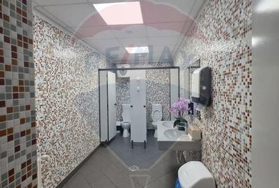 Birou, de 8,706 mp, în 13 Septembrie - 28