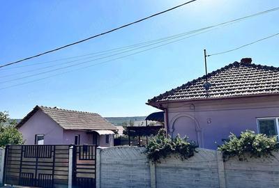 Casă cu Teren 3000 Mp în Arginești - 4