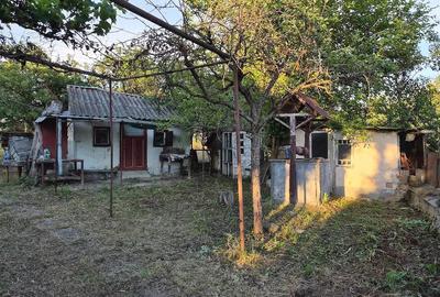 Casă cu Teren 800 Mp în Dăbâca - 5
