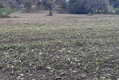 Teren de 4200 mp, în Hodac - 2