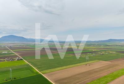 Teren Construcții intravilan de 963 mp, în Hălchiu - 14