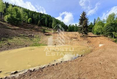 Teren Construcții extravilan de 18000 mp, în Exterior Sud - 34