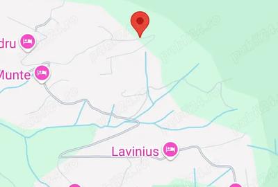 Teren de 7200 mp, în Moieciu