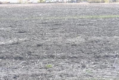 Teren de 8000 mp, în Central