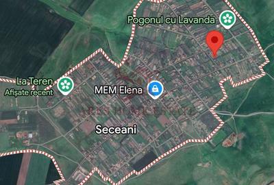 Teren Construcții intravilan de 4393 mp, în Seceani - 1