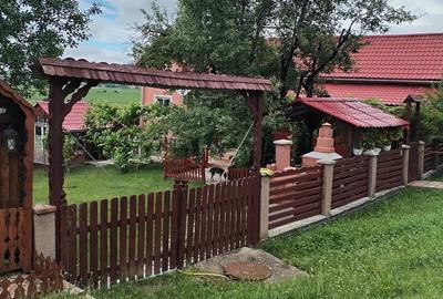 Casă cu 2 camere cu Teren 6000 Mp în Lechincioara - 4