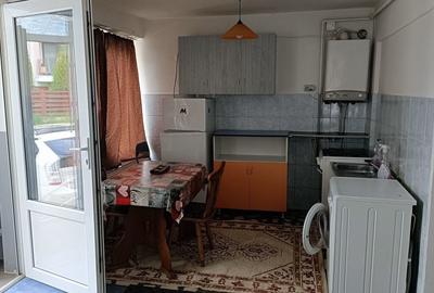 Casă cu 1 camere în Dosu Bricii - 2