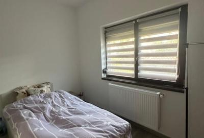 Apartament cu 3 camere decomandat, mobilat în Valea Lupului - 1