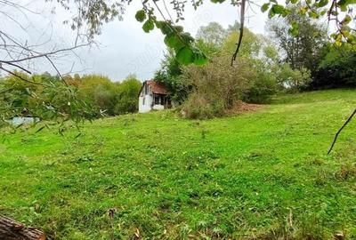 Teren de 5400 mp, în Bughea de Jos - 9