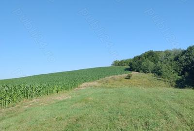 Teren în Valea Albă - 9