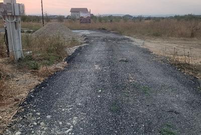 Casă cu 4 camere în Șimian