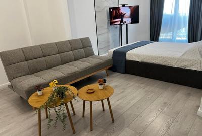 Garsonieră decomandată în Viilor