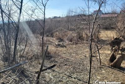 Teren Construcții intravilan de 1000 mp, în Ciurila - 3