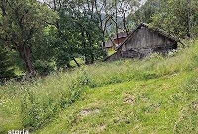 Teren de 4000 mp, în Băișoara - 7