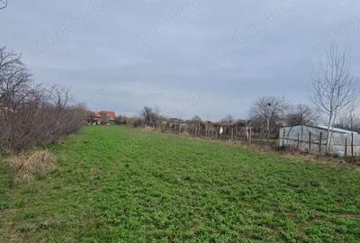 Casă cu Teren 2185 Mp în Stoicănești