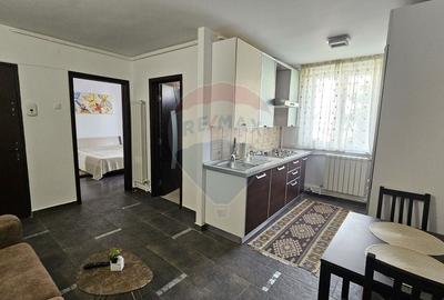 Apartament cu 2 camere decomandat, mobilat în Precista - 14
