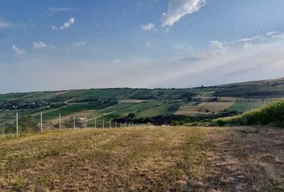 Teren în Nord - 2