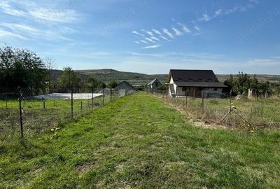 Teren de 5000 mp, în Central