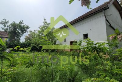 Casă individuală cu 3 camere cu Teren 1434 Mp în Satchinez - 11