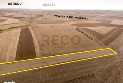 Spațiu comercial, în Cetariu
