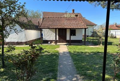 Casă individuală cu 2 camere cu Teren 4610 Mp în Ultracentral - 7