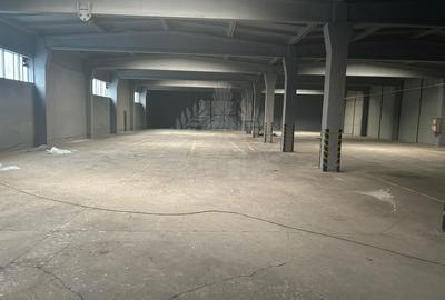 Spațiu industrial, de 4,100 mp, în B-dul București