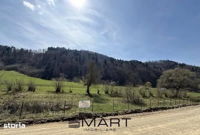 Teren de 7300 mp, în Tărlungeni - 1