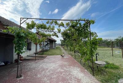 Casă cu Teren 8600 Mp în Giubega - 1