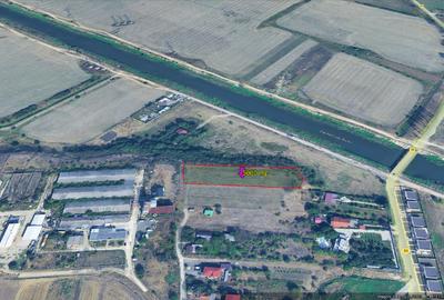 Teren Construcții intravilan de 5000 mp, în Bălăceanca