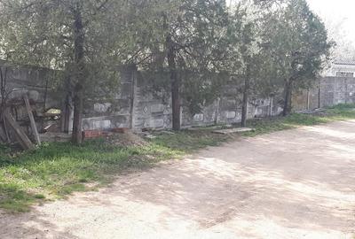 Teren de 2996 mp, în Vest - 7