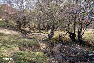 Teren de 2500 mp, în Tohănița