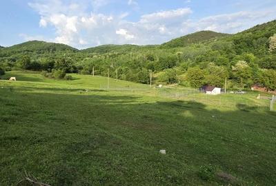 Teren de 2000 mp, în Boholt - 4